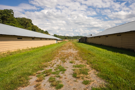 Online-Only Auction — Midway, Tennessee Farm for Sale - image 48