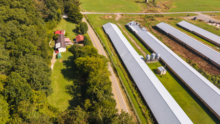 Online-Only Auction — Midway, Tennessee Farm for Sale - image 35