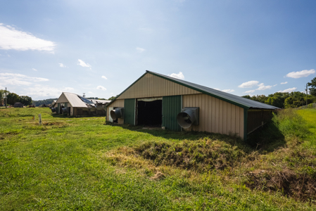Online-Only Auction — Midway, Tennessee Farm for Sale - image 43