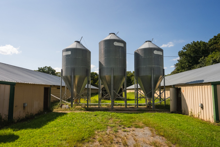 Online-Only Auction — Midway, Tennessee Farm for Sale - image 47