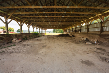 Online-Only Auction — Midway, Tennessee Farm for Sale - image 50