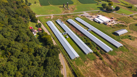 Online-Only Auction — Midway, Tennessee Farm for Sale - image 36