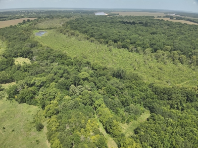 Duck Hunting Land near Red River in Lafayette County, AR for Sale - image 4