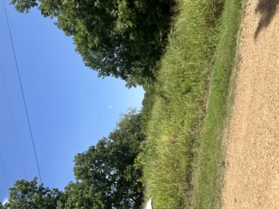 Duck Hunting Land near Red River in Lafayette County, AR for Sale - image 14