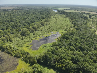 Duck Hunting Land near Red River in Lafayette County, AR for Sale - image 2