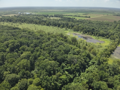 Duck Hunting Land near Red River in Lafayette County, AR for Sale - image 3