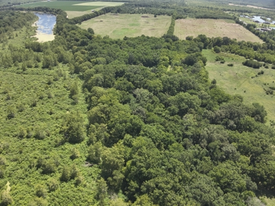 Duck Hunting Land near Red River in Lafayette County, AR for Sale - image 10