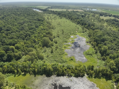 Duck Hunting Land near Red River in Lafayette County, AR for Sale - image 1