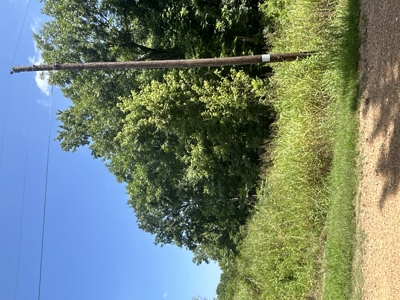 Duck Hunting Land near Red River in Lafayette County, AR for Sale - image 13