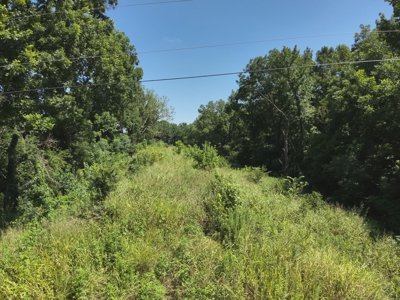 Duck Hunting Land near Red River in Lafayette County, AR for Sale - image 12