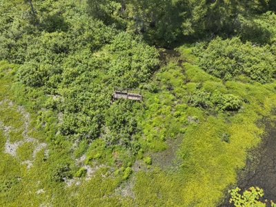 Duck Hunting Land near Red River in Lafayette County, AR for Sale - image 9