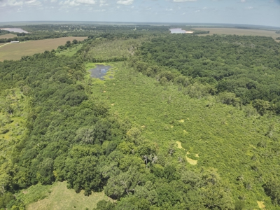 Duck Hunting Land near Red River in Lafayette County, AR for Sale - image 11
