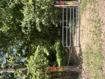 Duck Hunting Land near Red River in Lafayette County, AR for Sale - image 15