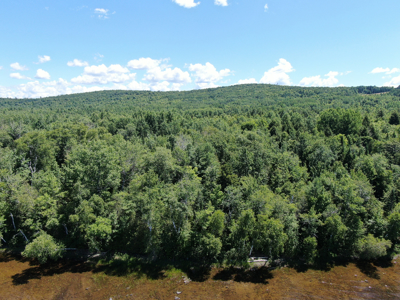 1.19 Acre Parcel with Deeded Lake Access - image 1