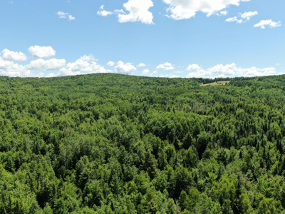 1.19 Acre Parcel with Deeded Lake Access - image 8