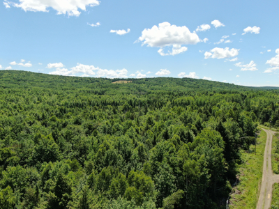 1.19 Acre Parcel with Deeded Lake Access - image 5