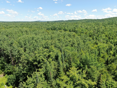 1.19 Acre Parcel with Deeded Lake Access - image 3