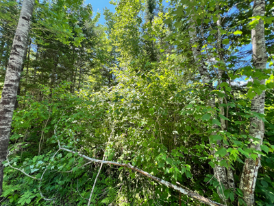 1.19 Acre Parcel with Deeded Lake Access - image 17