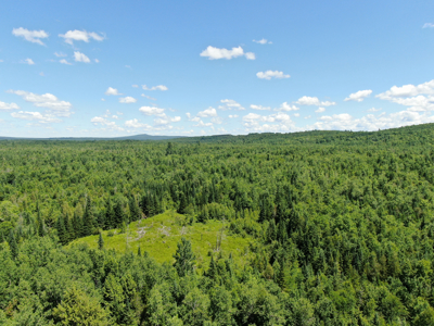 1.274 Acre Parcel with Deeded Lake Access - image 7