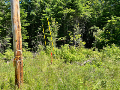 1.274 Acre Parcel with Deeded Lake Access - image 14