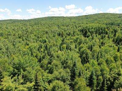 1.14 Acre Parcel with Deeded Lake Access - image 4