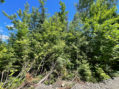 1.14 Acre Parcel with Deeded Lake Access - image 16