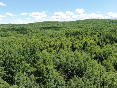 1.14 Acre Parcel with Deeded Lake Access - image 9