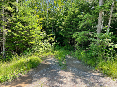 1.14 Acre Parcel with Deeded Lake Access - image 13