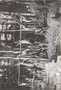 Island Property, On the Wisconsin River, Blue River, Grant County - image 39