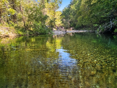 118 Acres w/ Home, Creek & Hunting in Missouri Ozarks - image 3