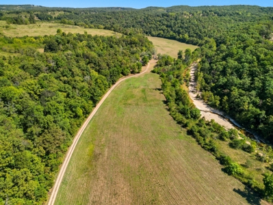 118 Acres w/ Home, Creek & Hunting in Missouri Ozarks - image 2
