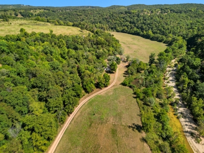 118 Acres w/ Home, Creek & Hunting in Missouri Ozarks - image 42
