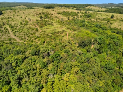 118 Acres w/ Home, Creek & Hunting in Missouri Ozarks - image 38