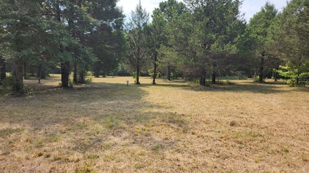 Missouri Turn-Key Bowling Alley, Restaurant Event Venue & RV Park - image 21