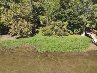 3 Bedroom Riverfront Home for Sale in Perry County, Tennessee - image 41