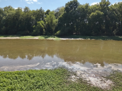 3 Bedroom Riverfront Home for Sale in Perry County, Tennessee - image 1