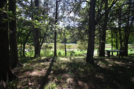 3 Bedroom Riverfront Home for Sale in Perry County, Tennessee - image 7