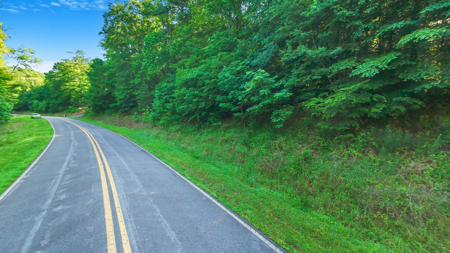 Auction! Acreage with Views Near Taylorsville, NC - image 16