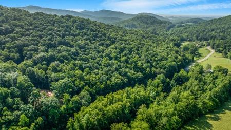 Auction! Acreage with Views Near Taylorsville, NC - image 5