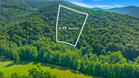 Auction! Acreage with Views Near Taylorsville, NC - image 2