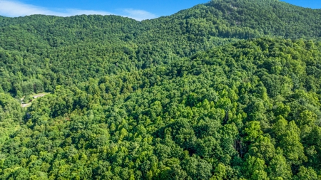Auction! Acreage with Views Near Taylorsville, NC - image 12