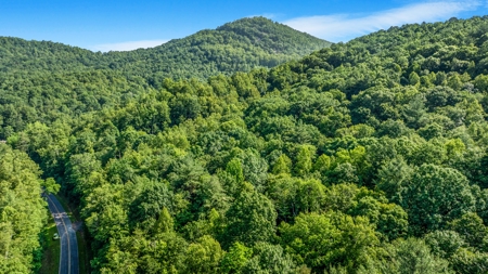 Auction! Acreage with Views Near Taylorsville, NC - image 10