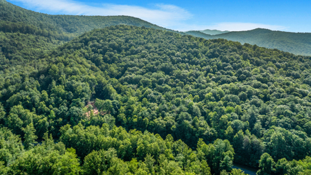 Auction! Acreage with Views Near Taylorsville, NC - image 6