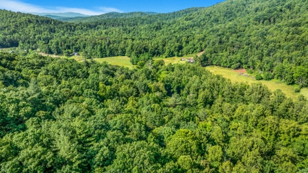 Auction! Acreage with Views Near Taylorsville, NC - image 11