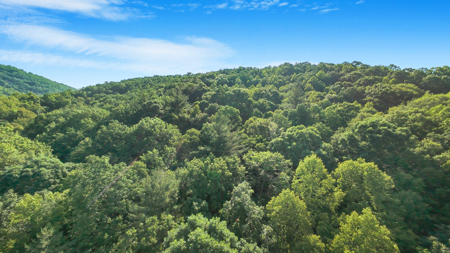 Auction! Acreage with Views Near Taylorsville, NC - image 8