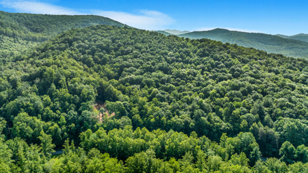 Auction! Acreage with Views Near Taylorsville, NC - image 7