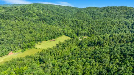 Auction! Acreage with Views Near Taylorsville, NC - image 14