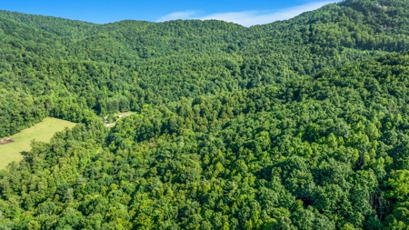 Auction! Acreage with Views Near Taylorsville, NC - image 13