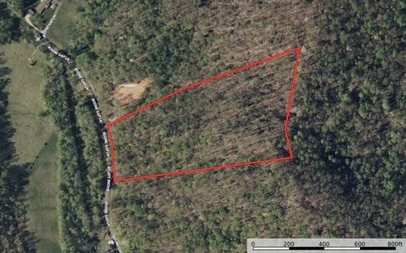 Auction! Acreage with Views Near Taylorsville, NC - image 22