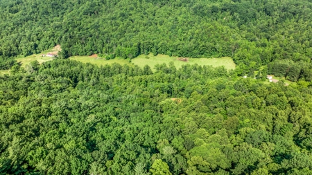 Auction! Acreage with Views Near Taylorsville, NC - image 15